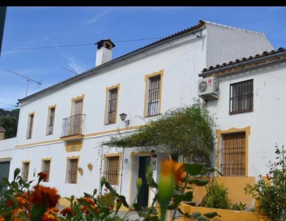 Alto De Torrecillas El Bosque Exterior photo