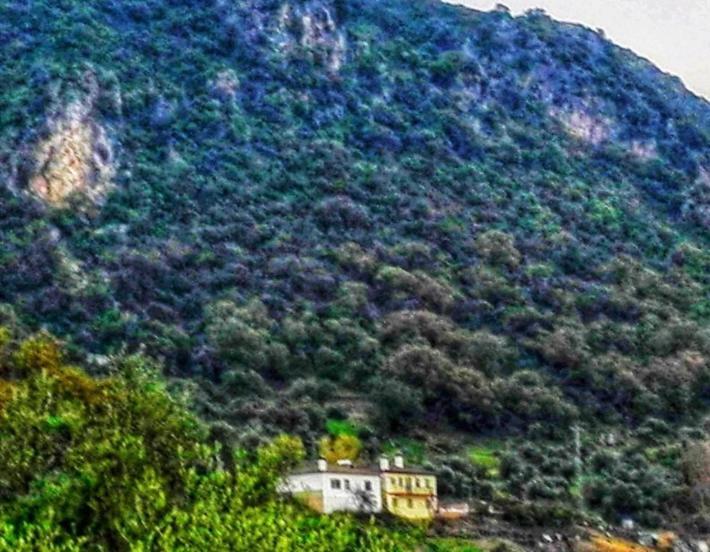 Alto De Torrecillas El Bosque Exterior photo